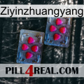 Ziyinzhuangyang 14